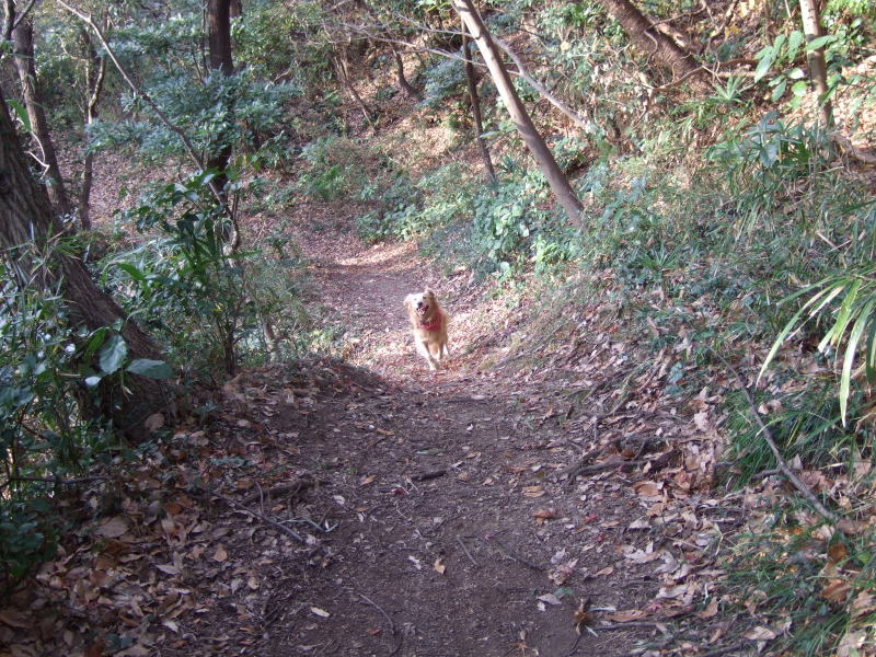 c0104492_18385696.jpg