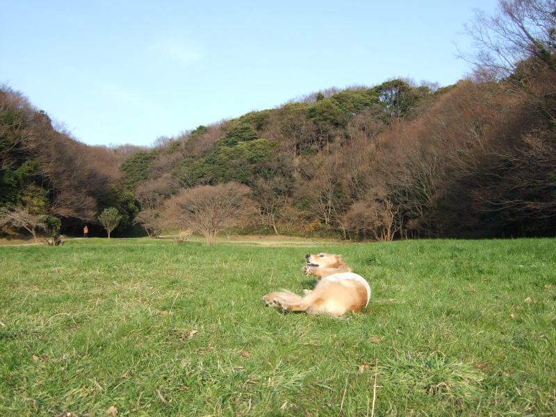 c0104492_23121468.jpg