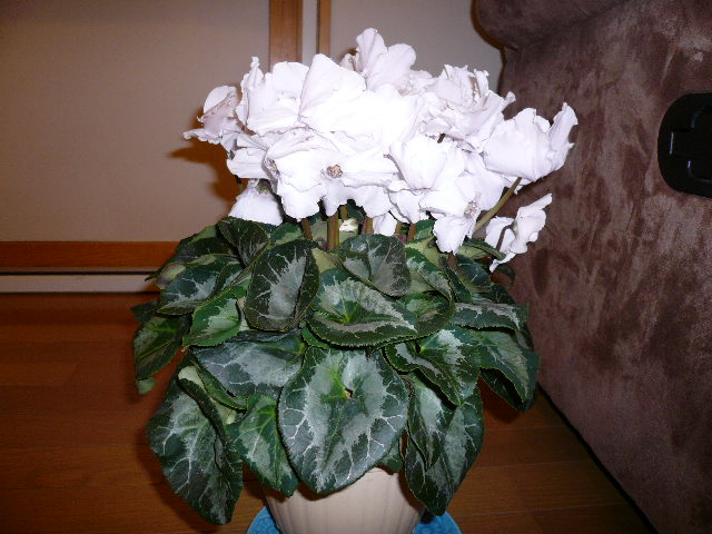 e0028401_14545062.jpg