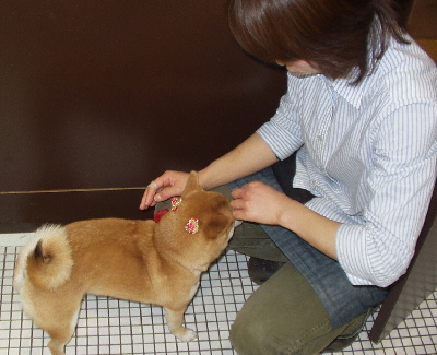f0004309_1550177.jpg