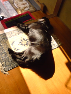 c0012120_23343922.jpg