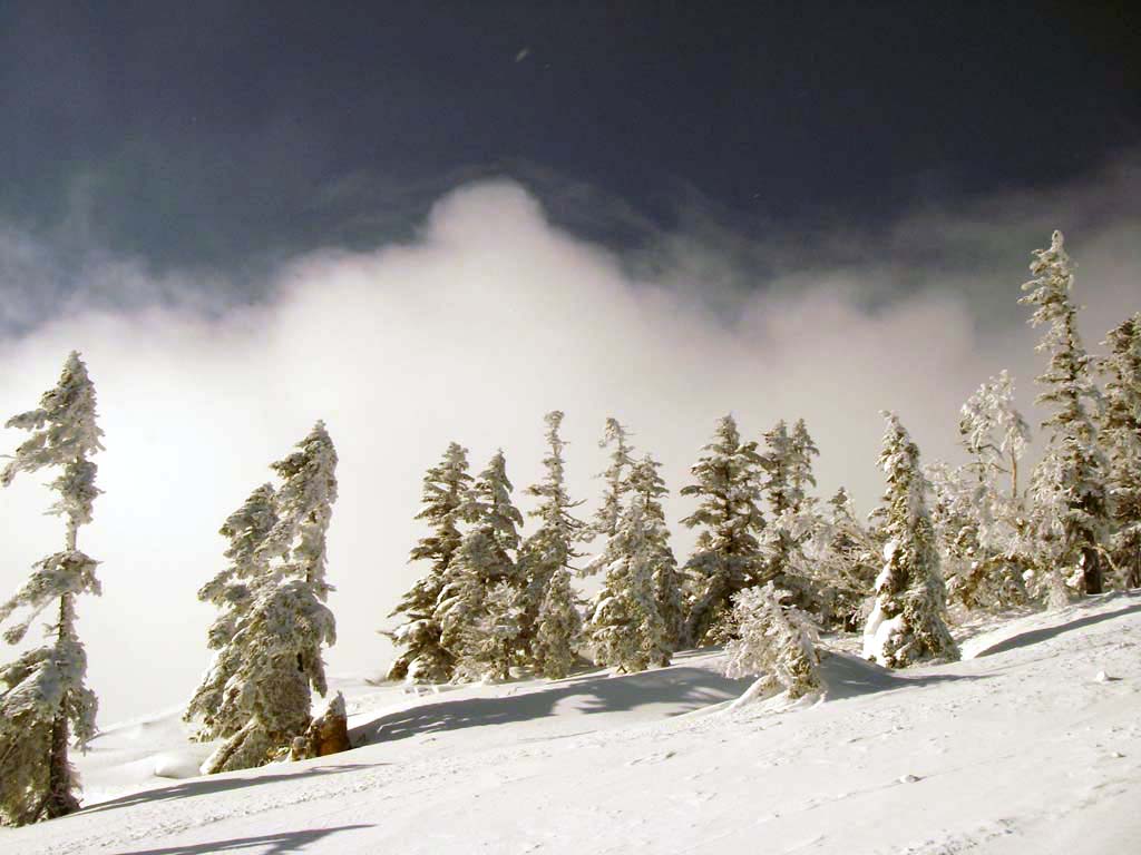 b0062024_8561046.jpg