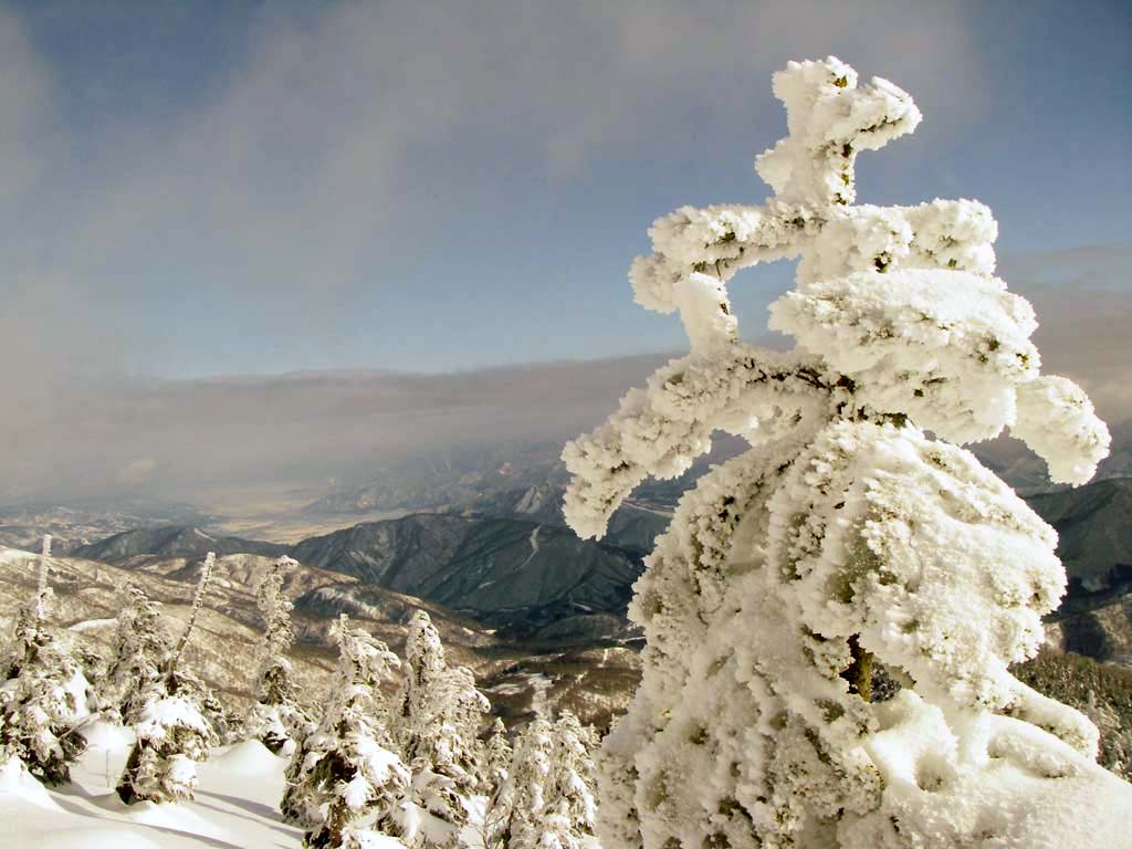 b0062024_901072.jpg
