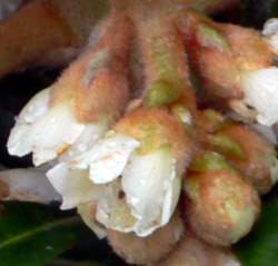 f0060424_0504760.jpg