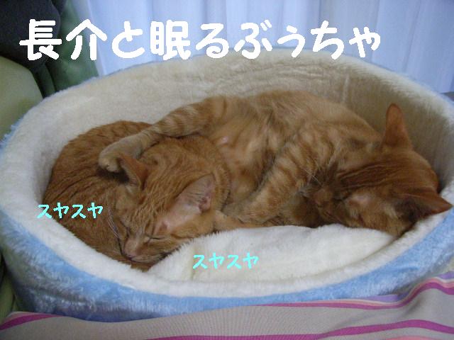 d0081025_19291874.jpg