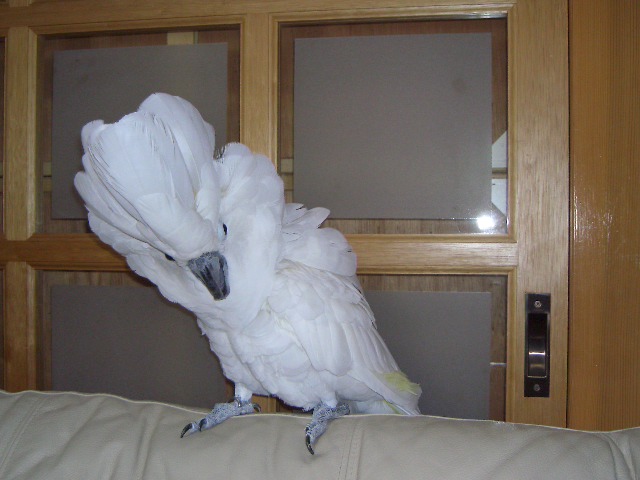e0107730_2230153.jpg