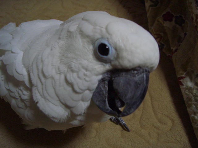 e0107730_22311786.jpg