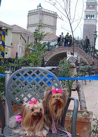 f0124830_13393485.jpg