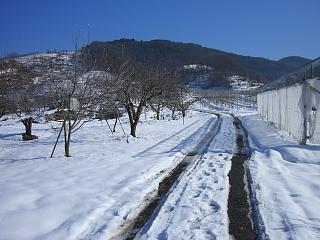 f0003138_17443918.jpg