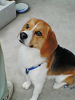 a0044439_059485.jpg