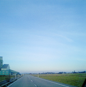 d0041541_11144884.jpg