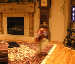 e0104941_2215640.jpg