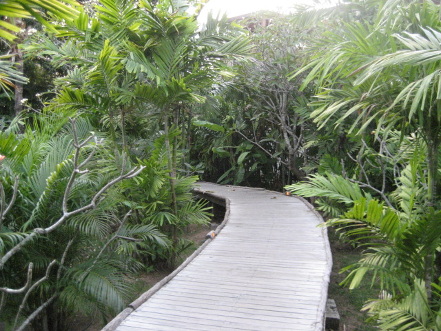 f0025741_23113195.jpg