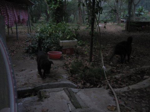 e0018143_204796.jpg