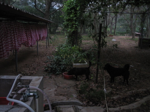 e0018143_20754.jpg