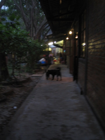 e0018143_211786.jpg