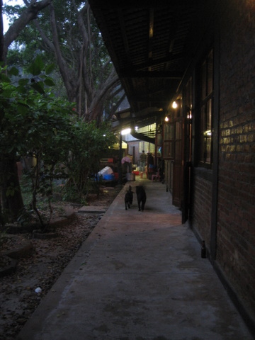 e0018143_213389.jpg