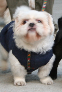 e0018143_232326.jpg