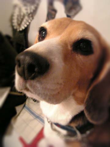 a0042044_1234139.jpg