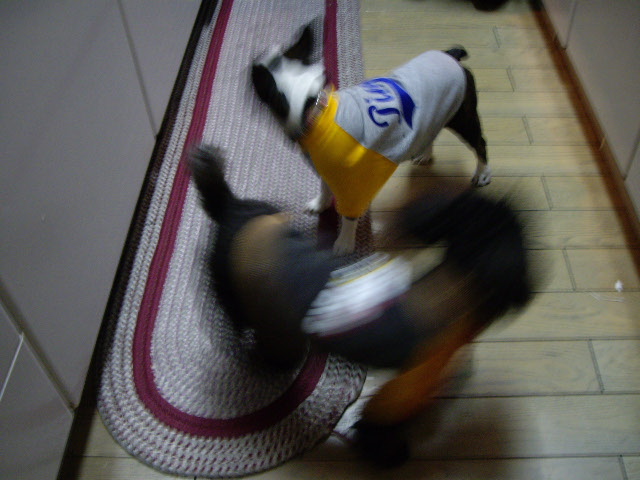 e0098547_0343237.jpg