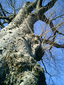 e0009049_14154093.jpg