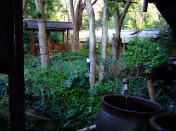 e0088654_2259501.jpg