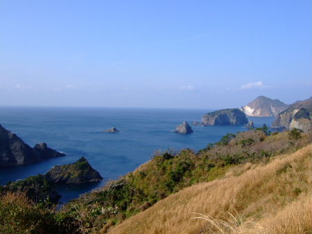 e0088654_2391062.jpg