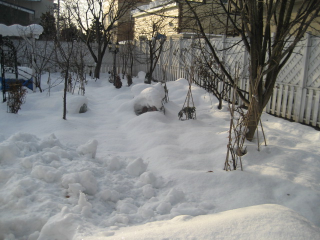 a0075455_181156100.jpg