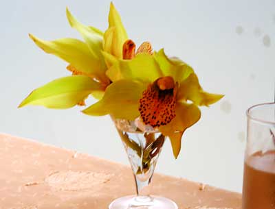 e0097770_23112024.jpg