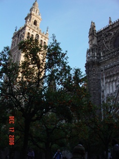 f0092473_30323.jpg