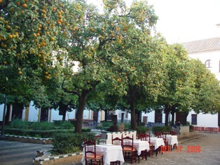 f0092473_35119.jpg