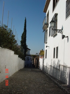 f0092473_4154059.jpg