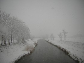 a0034487_1775955.jpg