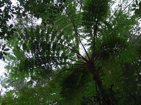 e0028387_23112269.jpg
