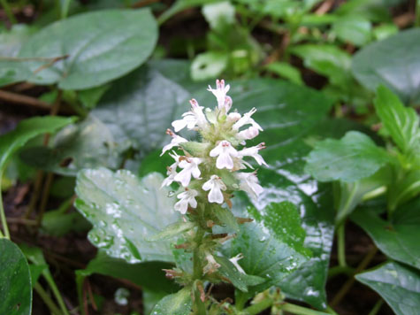 e0028387_23175018.jpg