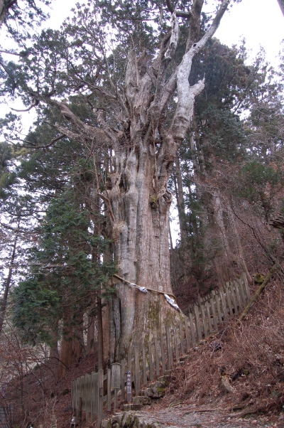 b0100489_19263734.jpg