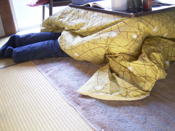 c0002390_1316913.jpg