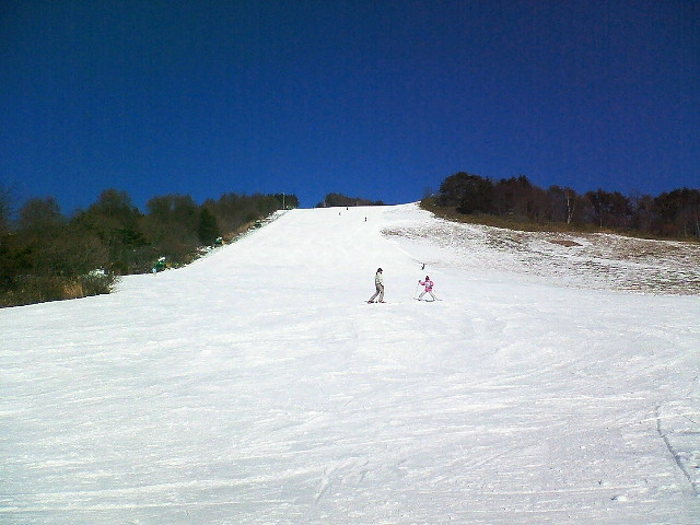 d0049594_2336214.jpg
