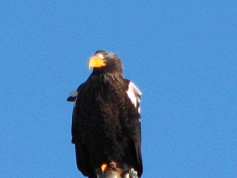 f0020302_2038992.jpg