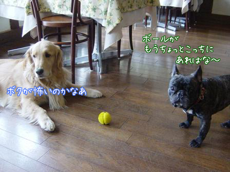 f0064906_1742961.jpg
