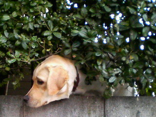 d0000607_13505322.jpg