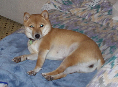 f0004309_23594367.jpg