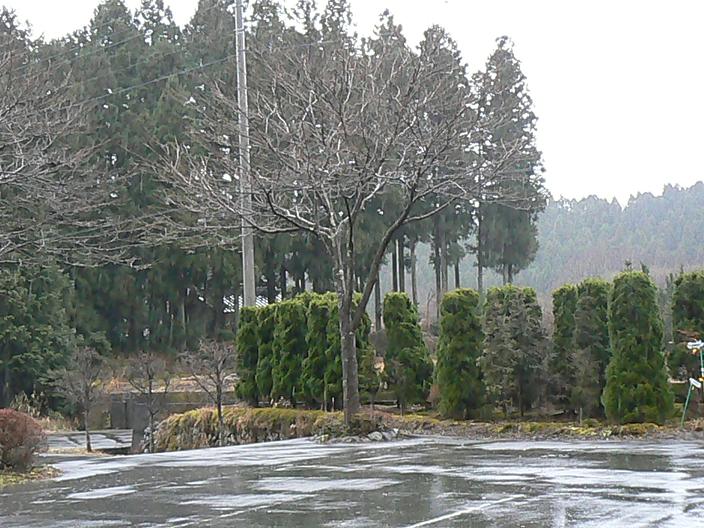c0086014_2115511.jpg
