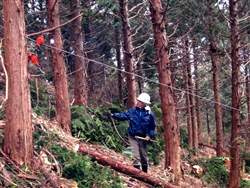 e0002820_18174141.jpg