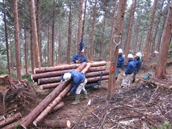 e0002820_182145100.jpg