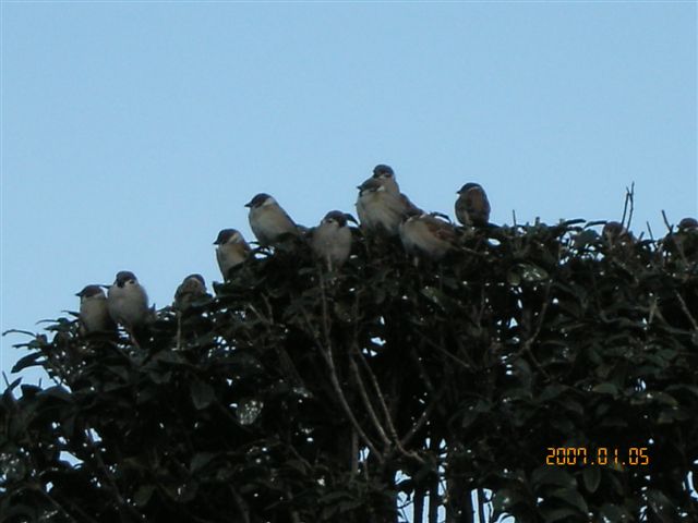 f0127523_1043544.jpg