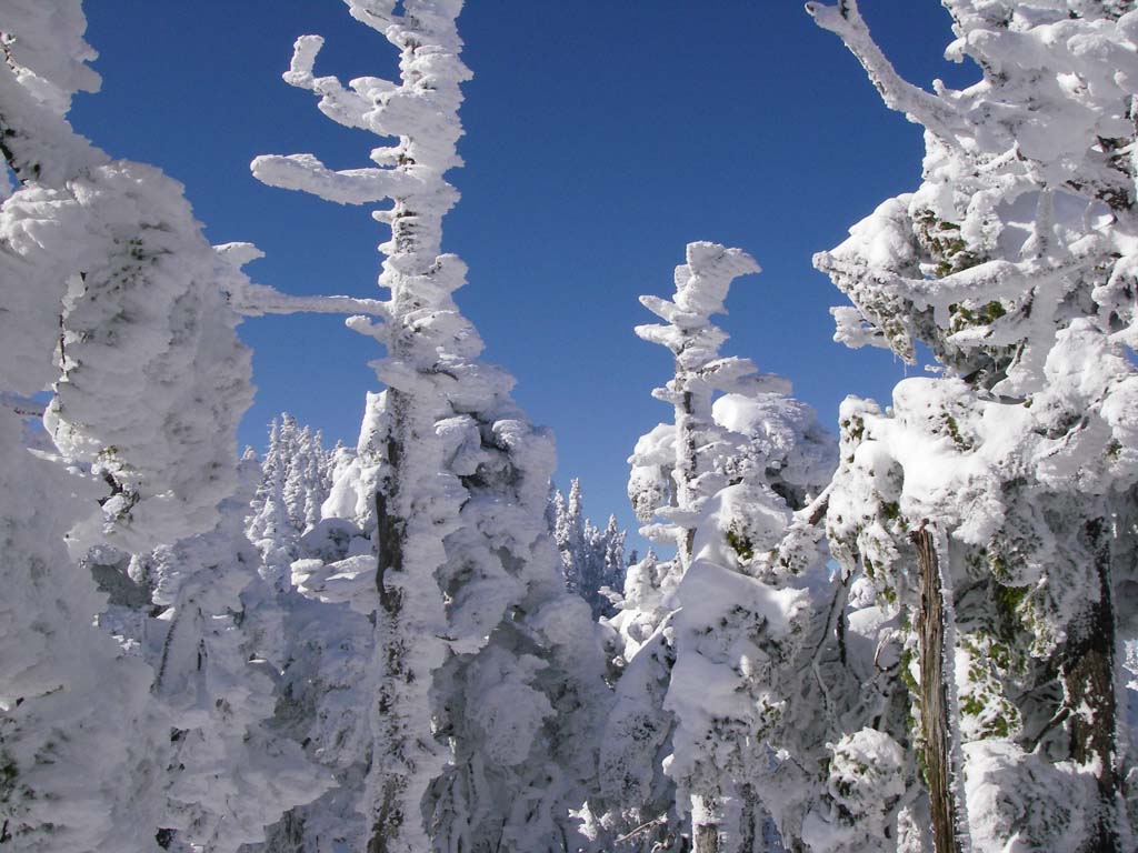 b0062024_9592346.jpg