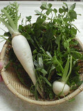 e0094325_941231.jpg
