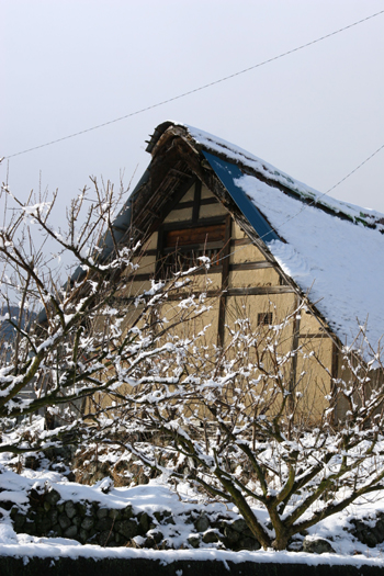 f0081726_19341864.jpg