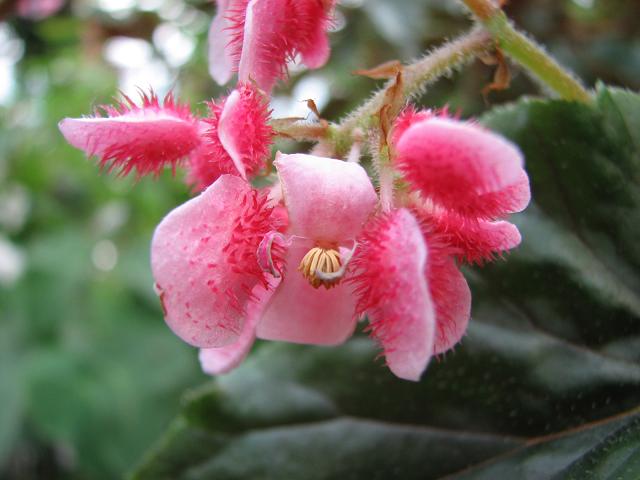 f0099535_1830320.jpg